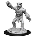 D&D Miniature Figurine - Monsters/Creatures