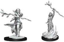 D&D Miniature Figurine - Human Druid