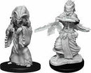D&D Miniature Figurine - Monsters/Creatures
