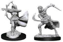 D&D Miniature Figurine - Air Genasi