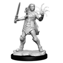 Magic the Gathering Unpainted Miniatures Rowan Kenrith & Will Kenrith