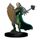 D&D Miniature Figurine - Prepainted