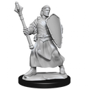 Critical Role Unpainted Miniatures Human Clovis Concord Cleric Male