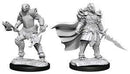 D&D Nolzurs Marvelous Unpainted Miniatures Dragonborn Fighter
