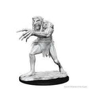 D&D Miniature Figurine - Monsters/Creatures