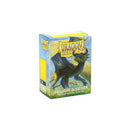 Dragon Shield Sleeves 100ct: Dual Matte